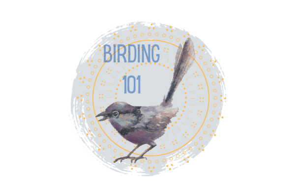 Image for event: Teen Tuesday: Birding 101