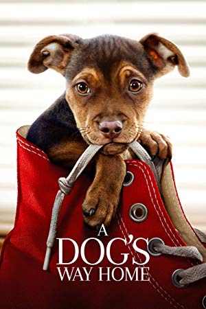 Image for event: Family Movie - A Dog's Way Home