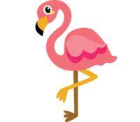 Image for event: Flamingo Bingo!